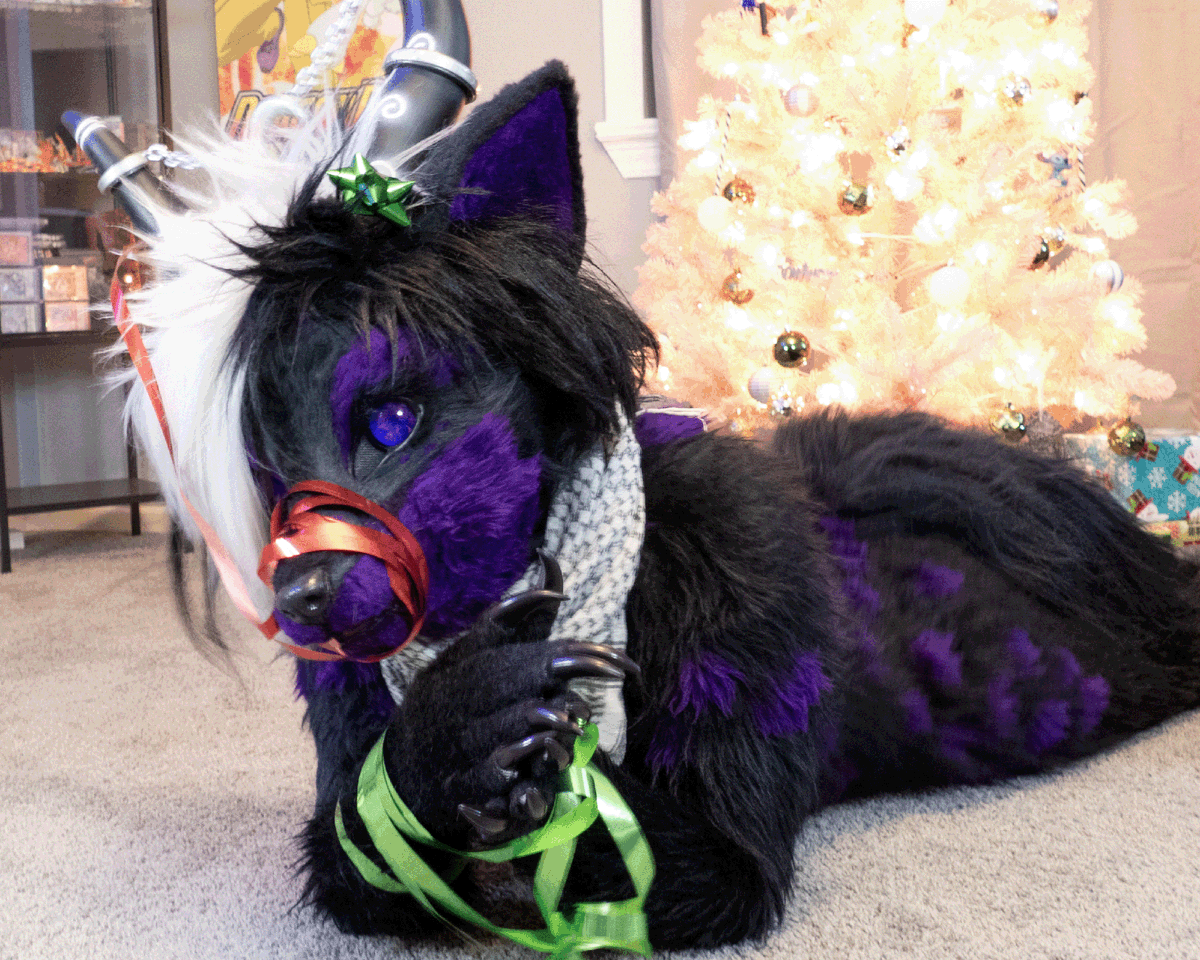 NueFox's tweet photo. Xmas 2024
@Krysune https://t.co/rklFQMLCbo
