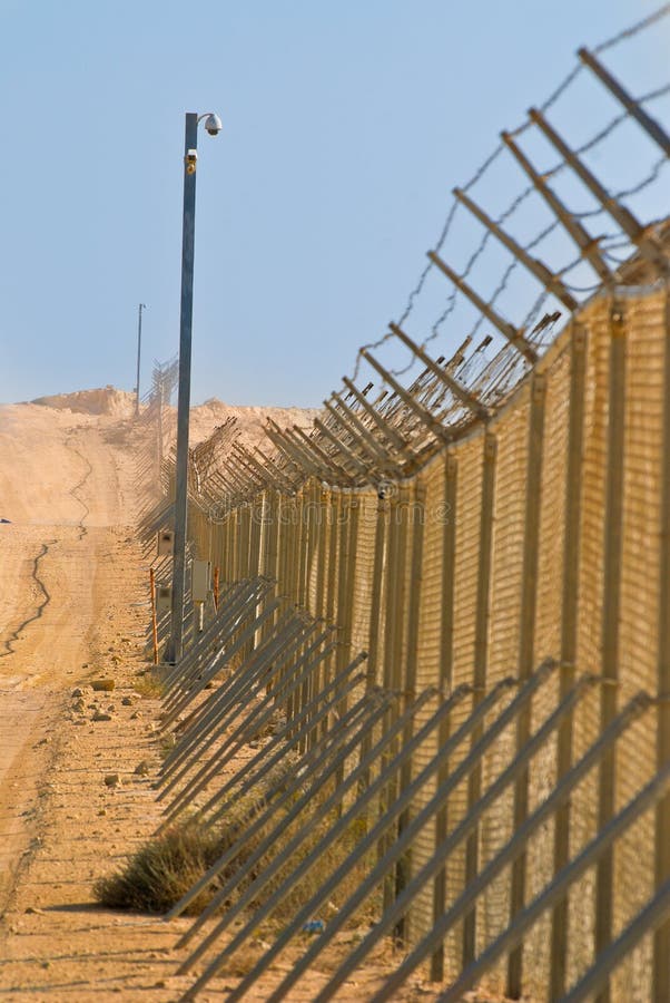 intelligency tweet media