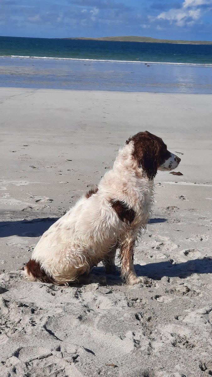 Stuart Duff tweet media