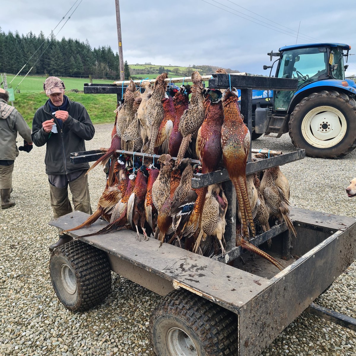 Jim wright tweet media