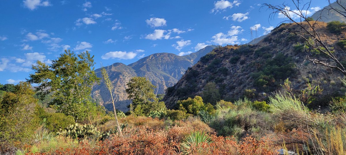 Edgar McGregor tweet media