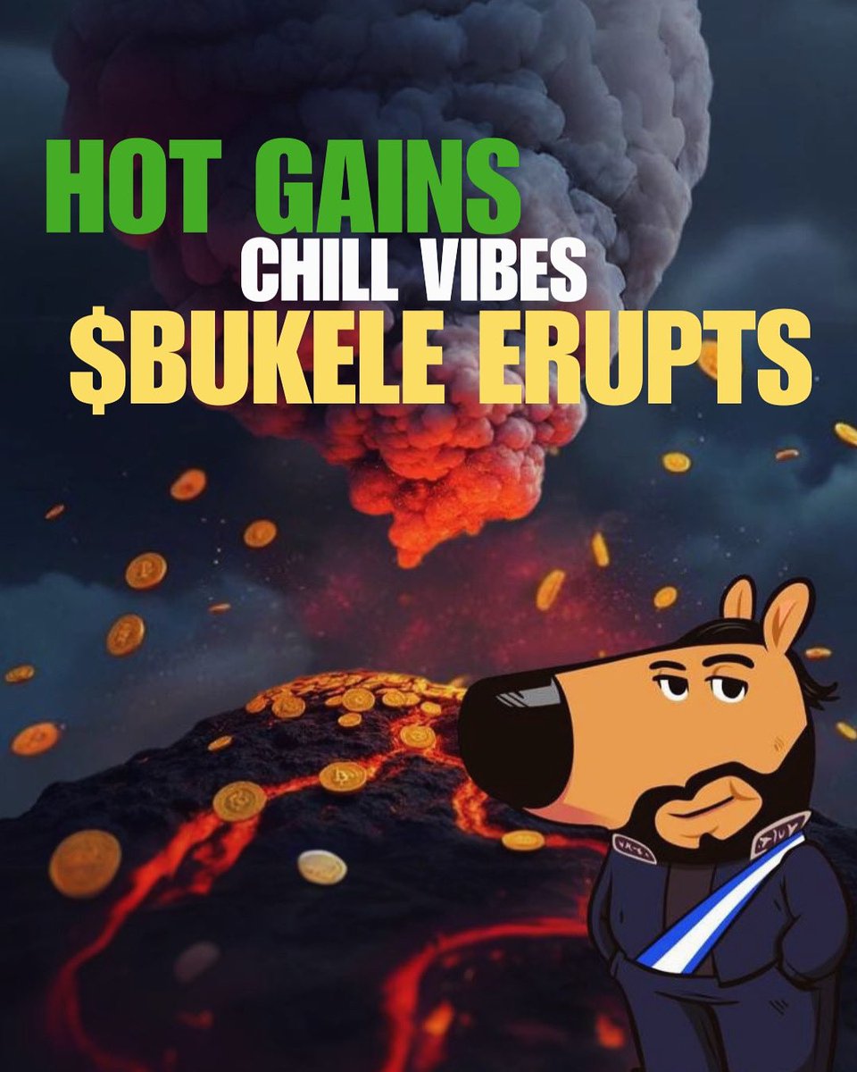 pyroKryptic7's tweet photo. @bukele_sol https://t.co/glr3Rp77kX