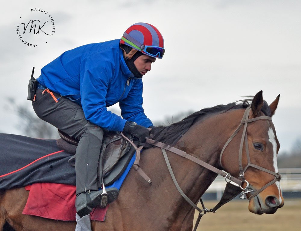 Another raw, very cold morning with snow on the way. But for this horse, I’ll endure it. TRIKARI at Fair Hill this morning. 🏇❄️