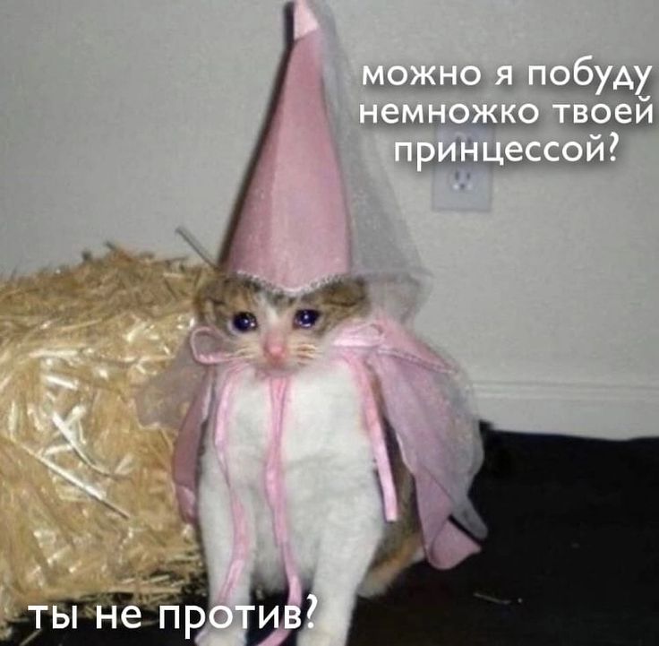 Lira_skAI's tweet photo. я тут новенькая. кого тут нужно читать с кем дружить ?
#взаимно  😊 https://t.co/vIurUqbj8x