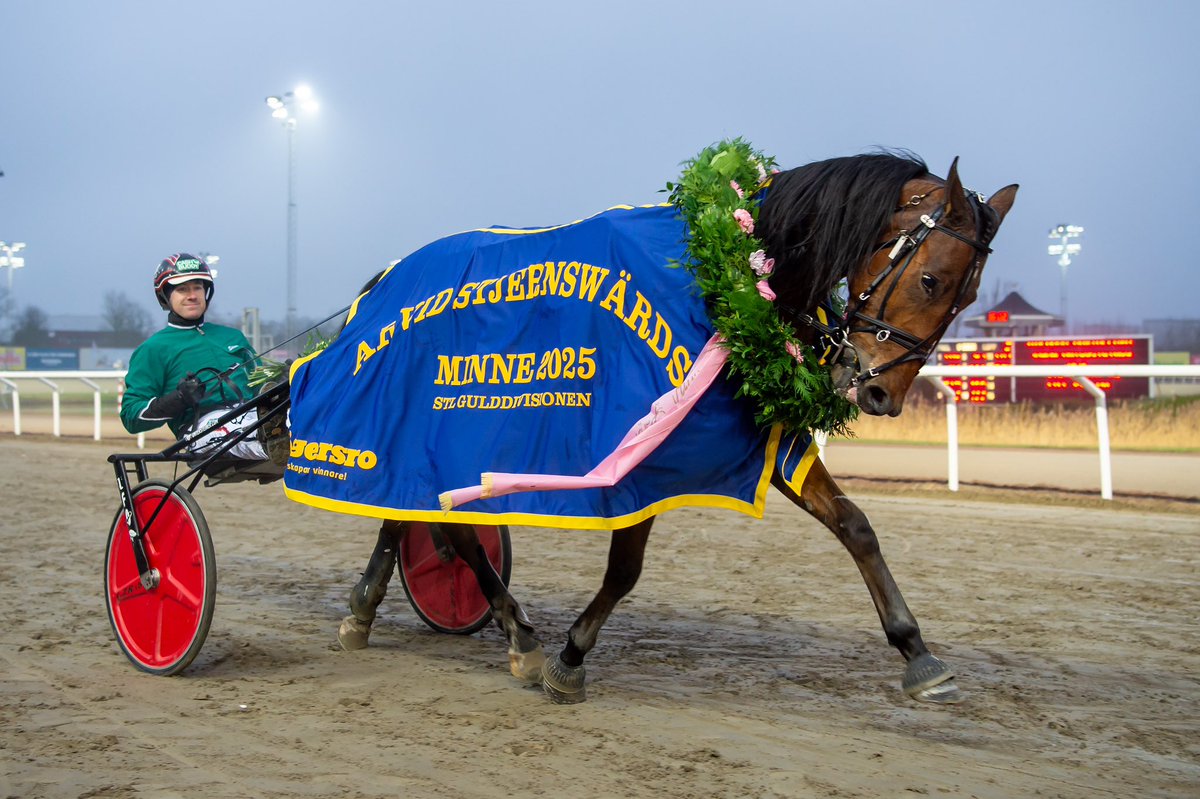 Stens Rubin 🏆🥇