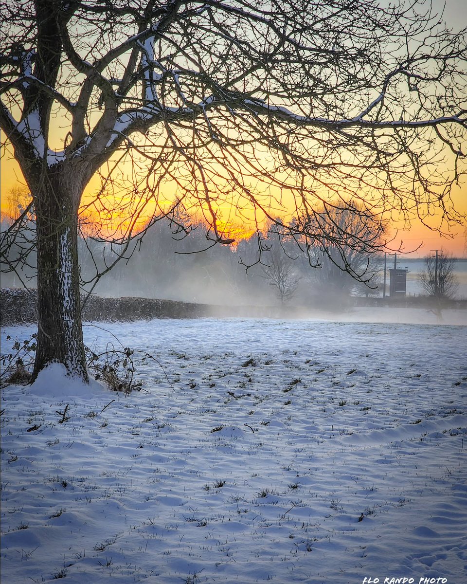 hautsdefrance's tweet image. [Cette semaine sur Instagram]

📸 Dans l&apos;#Avesnois, à #BoulognesurMer, #Ault ou #Vimy, les plus belles photos des #hautsdefrance sont sur notre compte #Instagram 👉 ow.ly/uTq850BhUmb

👏 Florence, Maxime, Hélène &amp;amp; Jimmy 👏