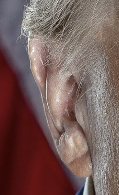 Robert Young Pelton tweet media