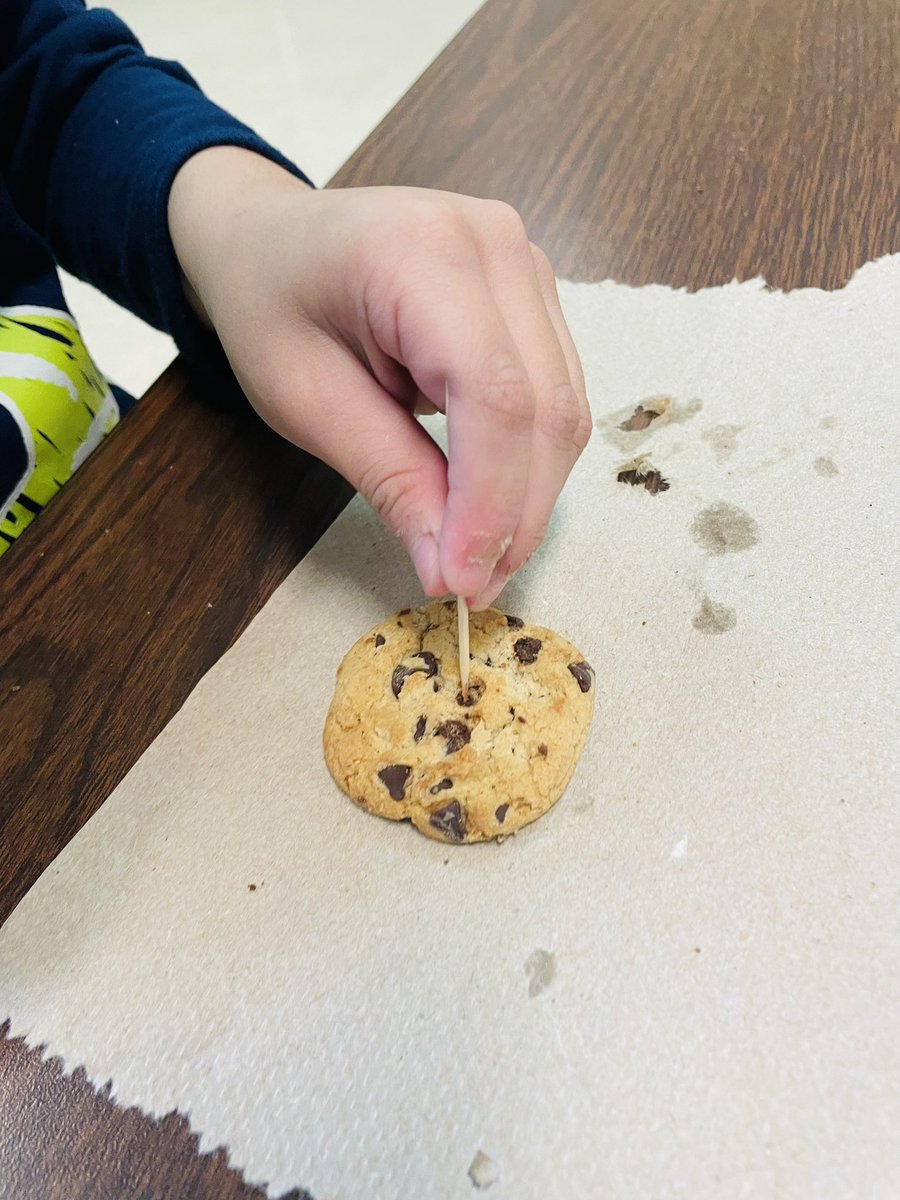 gracegarza23's tweet photo. My students were geologists this past week!ππ @NISDMead @NISDSpecialEd #RootedMead https://t.co/vPFXfOUQOn
