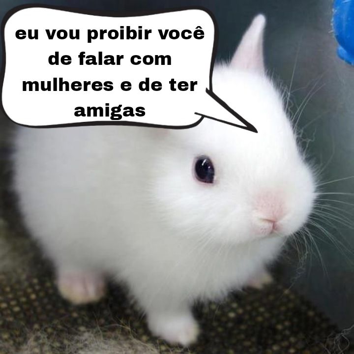 Frases aleatórias em baixa qualidade (@fraseslowqualit) on Twitter photo 