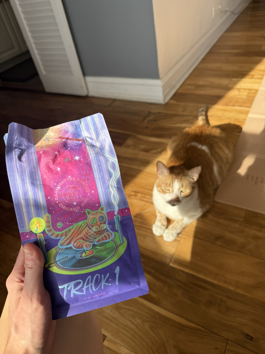 Ulamwrites's tweet photo. Orange boi love with @DarkMatter2521 🍊🐈☕️ https://t.co/Q2Bre77M1P