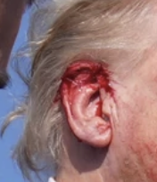 Robert Young Pelton tweet media