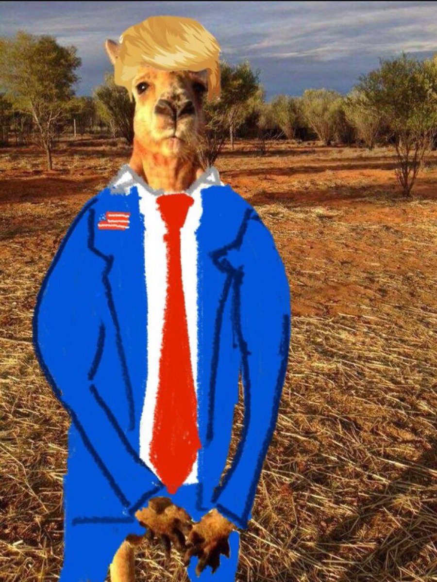 RogerCoinOnSol's tweet image. Trump got his coin, but $Roger is the real heavyweight champ of the blockchain. 🦘Stay ripped, stay Roo’d up!