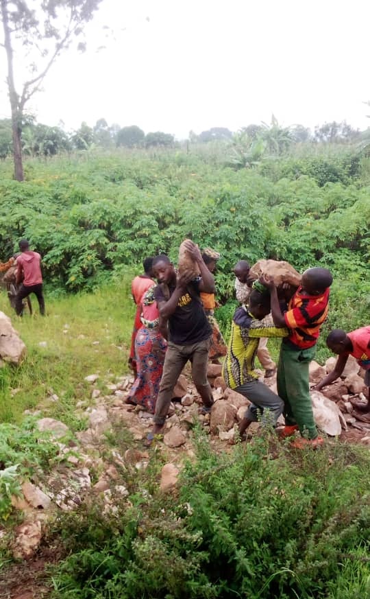 Communegiharo's tweet photo. #Burundi kur'uyu wa gatandatu igenekerezo rya 18 Nzero 2025 abenegihugu bo mugacimbiri Mushindwi umutumba Kabingo komine Giharo @RutanaProvince 
bazindukiye mubikorwa vyo kwegereza amabuye kw'ishure nshingiro rya Kabingo2 ririko rirasanurwa
@MininterInfosBi https://t.co/zJI7IJNG6S