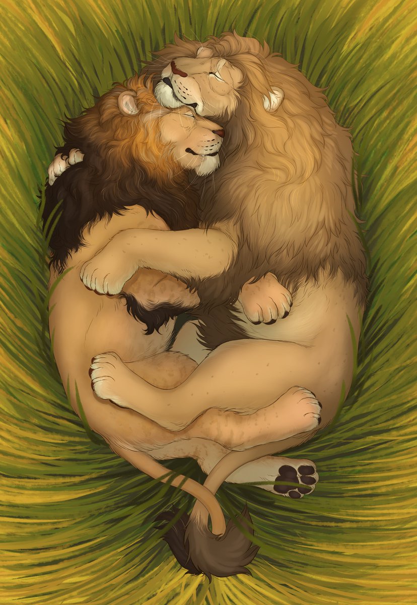 lion lovers &lt;3
🦁🏳️‍🌈🦁