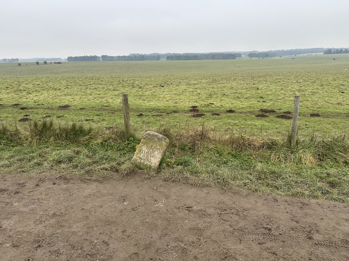 Dr Elizabeth Norton tweet media