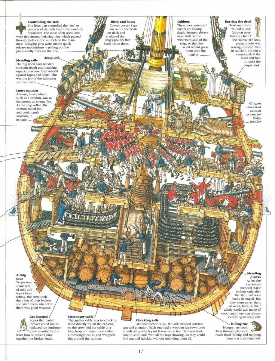 The best thing about Stephen Biesty's cutaway images of ships is that they show just how tough life on ships was!

Everyone is busy with something on this one.

Which one of these tasks would you hate to do the most?