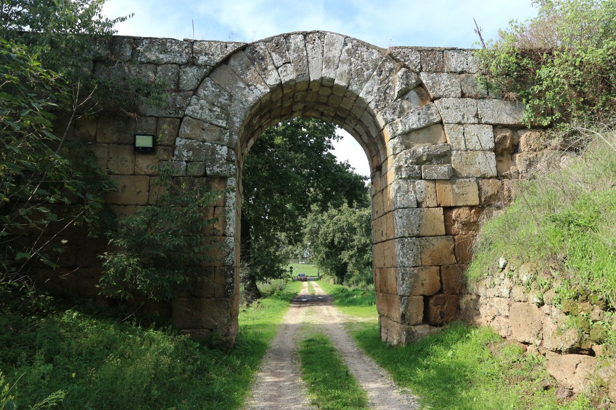 Marina Lo Blundo tweet media