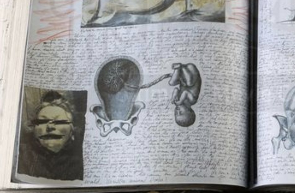 which one is <a href="/sark/">Mr Sark</a> 's notebook and which is Francis Dolarhyde's?