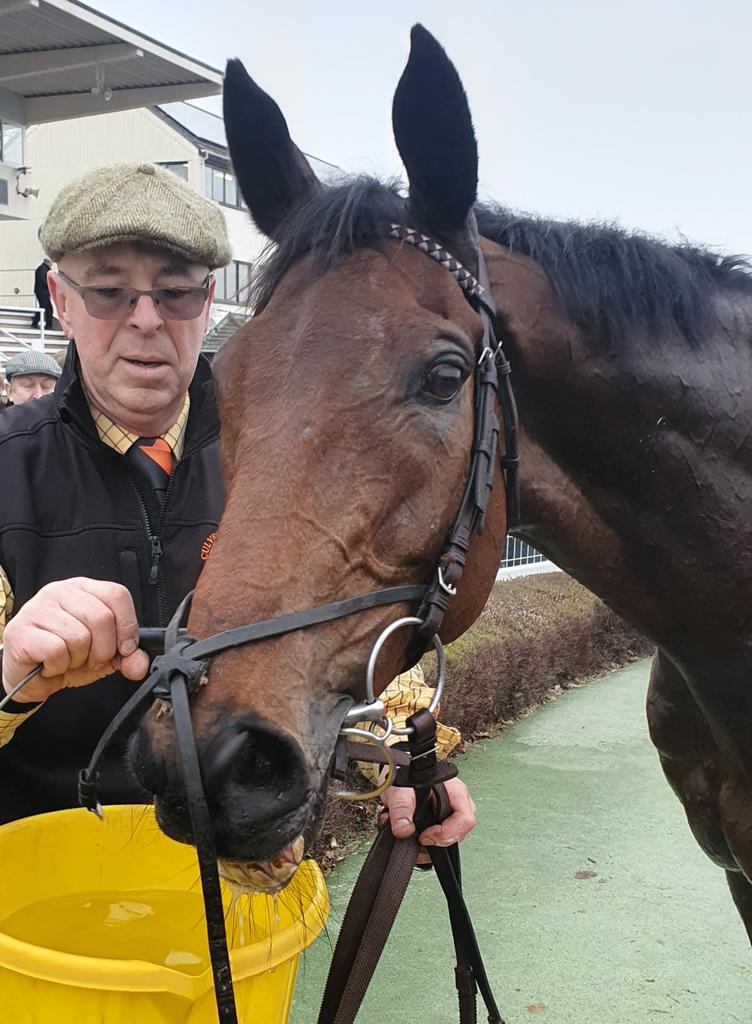 Jonny Allison (@jonnyhorses) on Twitter photo Very honourable run in 3rd by Fast Buck today <a href="/NandJ_WilliamsR/">Jane Williams Racing</a> <a href="/CM_Gethings/">Ciarán Gethings</a>. Just done by younger legs as we feared but time will come on soft ground Very honourable run in 3rd by Fast Buck today <a href="/NandJ_WilliamsR/">Jane Williams Racing</a> <a href="/CM_Gethings/">Ciarán Gethings</a>. Just done by younger legs as we feared but time will come on soft ground