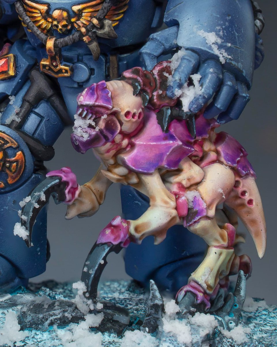 theminiaturista's tweet photo. Brother Ulkar and his pet! I painted this more than one year ago! Hope u like to remember it!. If you wonder about the snow, it is the Valhalan blizzard from Citadel.
And you still have the painting guide available
#warhammer #warhammer40k #paintingminiatures #warhammercommunity https://t.co/r0PhK9geb7