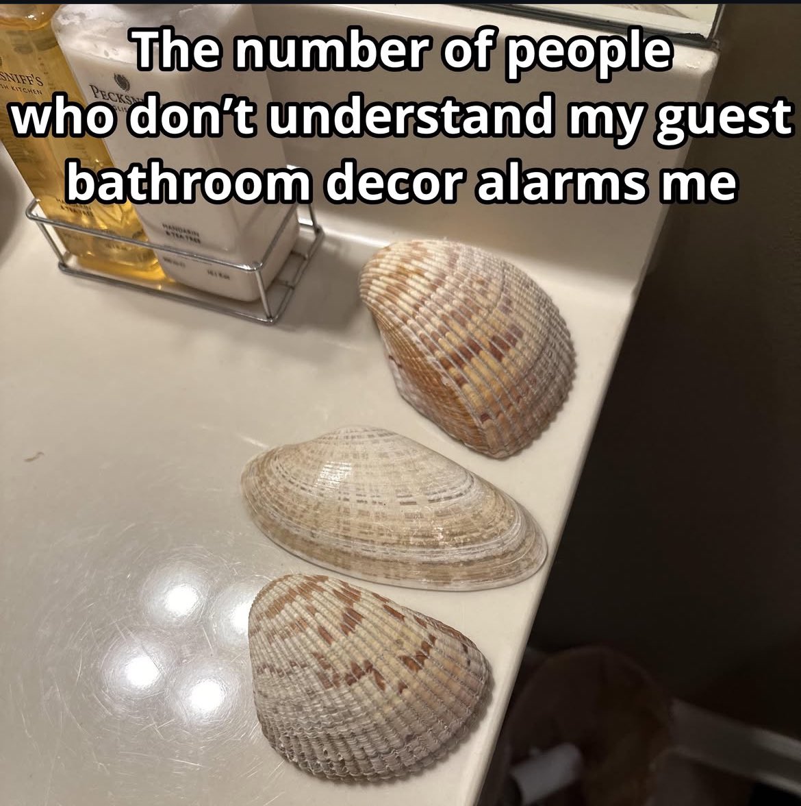 🐚🐚🐚