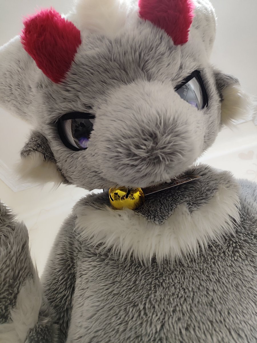 Milkshake_FT's tweet photo. “Hello~” https://t.co/Qb6adSVYQT