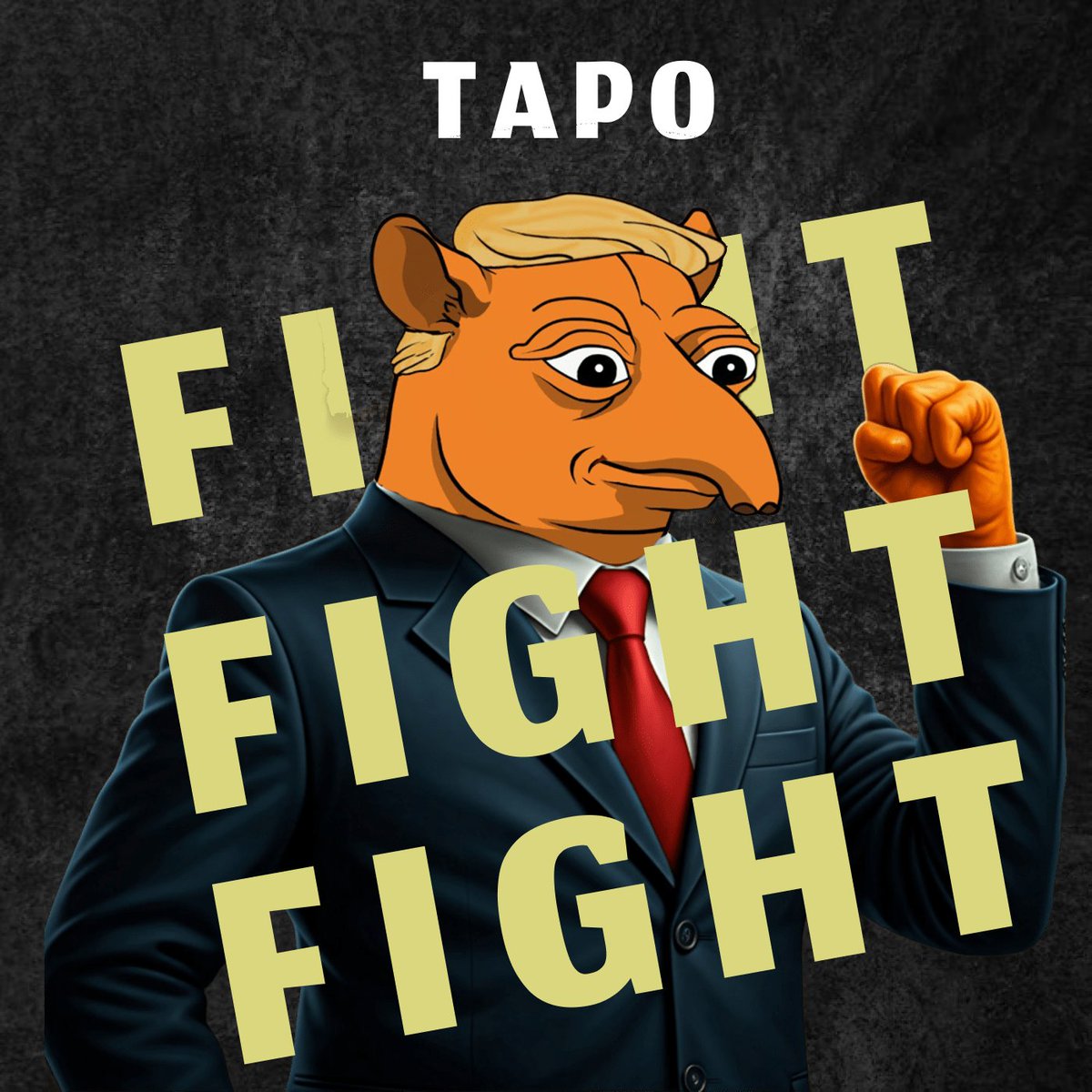 Tapo tweet media
