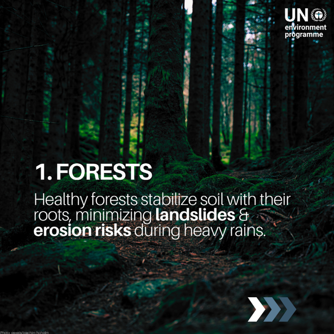 UN Biodiversity tweet media