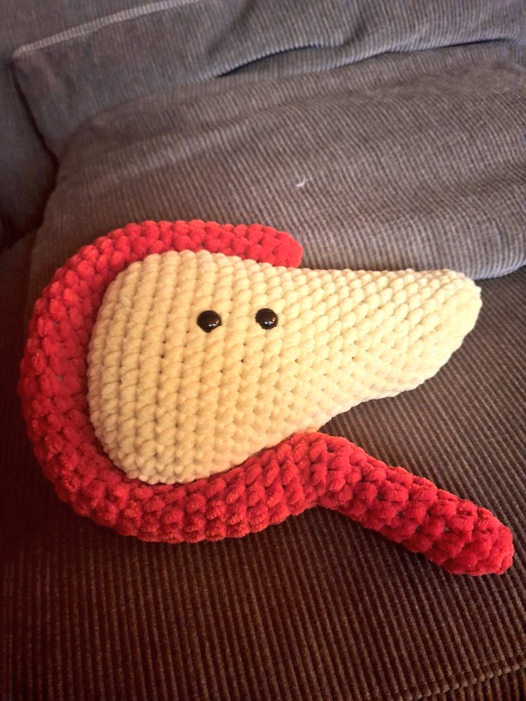SN_gastro's tweet photo. Best #pillow ever. @CSKnoph new place for resting her 🧠. 
The central organ. #pancreas
Do you have at home stuff like this? @drkeithsiau @stevenbollipo @KMonkemuller @LumirKunovsky https://t.co/FNoGkKIn5C