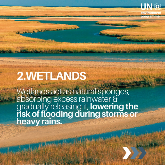 UN Biodiversity tweet media