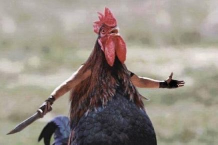 Carmiña Masi tweet media