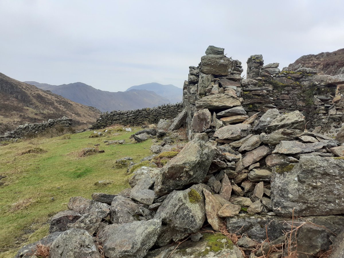 Cerddwyr Eryri Ramblers tweet media