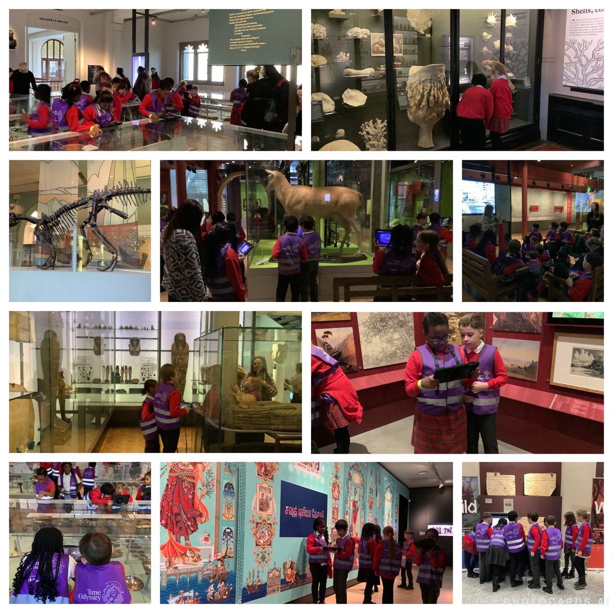 On Thursday, children in Year 4 visited Manchester Museum. We met characters lost in time, chose a character and took on a series of challenges to help send them back home. How? By gathering enough energy from museum objects to open a time portal! We had so much fun!