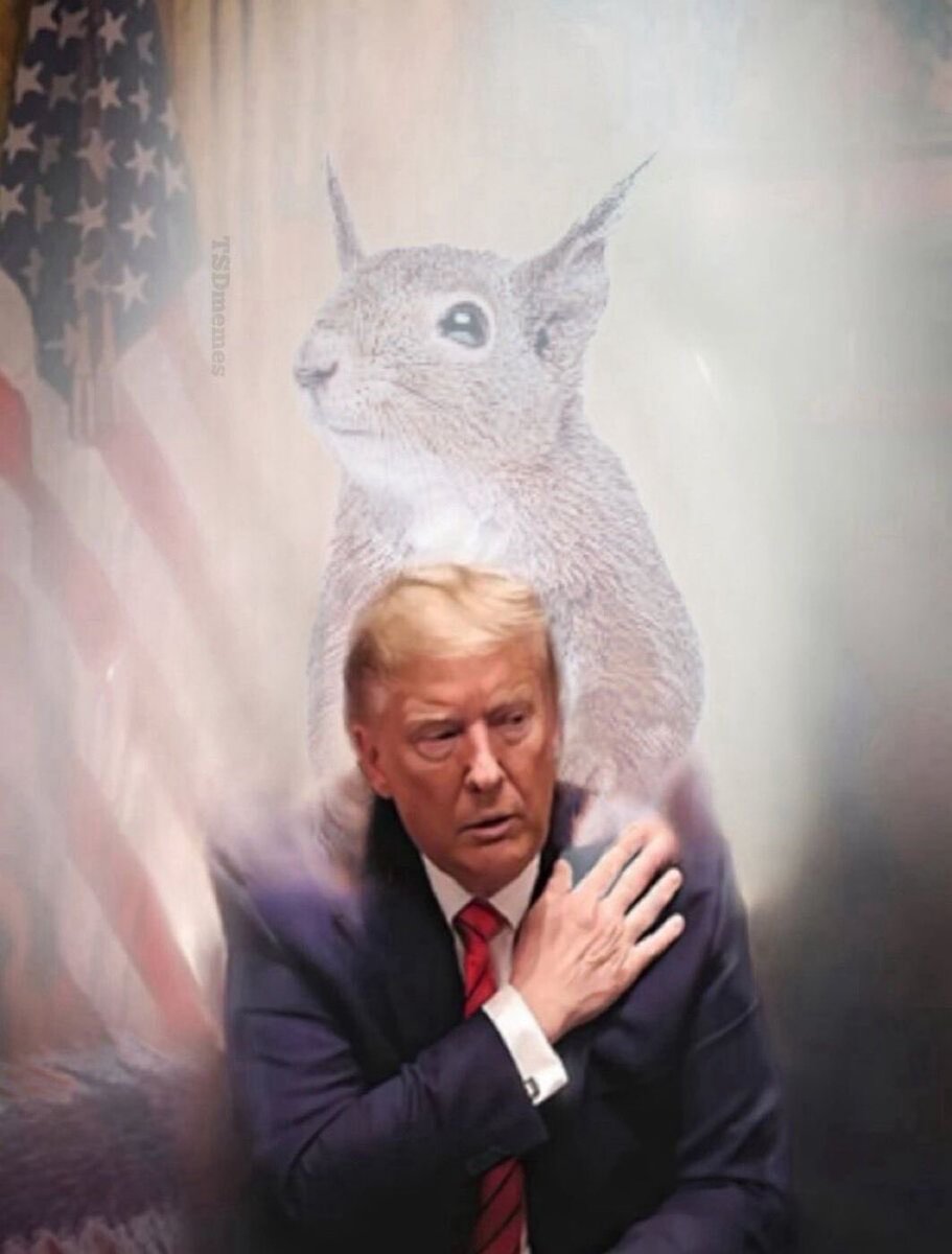 No more thesis needed for $PNUT

The squirrel that saved America.

The squirrel that started the bull.

The squirrel that saved free speech. 

Trump &amp; Elon both noticed this, let $TRUMP run and bring retail buyers. Money will flow back into our hero.

Justice for Pnut.