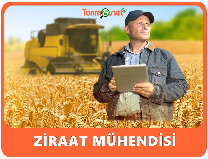 Ziraat Mühendis Tekniker İş İlanları, İş ve Ziraat Mühendis Tekniker Arayanlar #TarımİşNet'te.

Ziraat Teknikeri ve Mühendisi İş İlanları, Türkiye Geneli Ziraat Mühendisi İşi Arayanlar ile Mühendis Arayan Firmaları Tarım İş Net Online Platformumuzda Birbirleriyle Buluşturuyoruz…