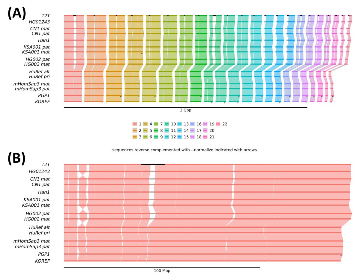 ntSynt-viz: Visualizing synteny patterns across multiple genomes biorxiv.org/content/10.110…