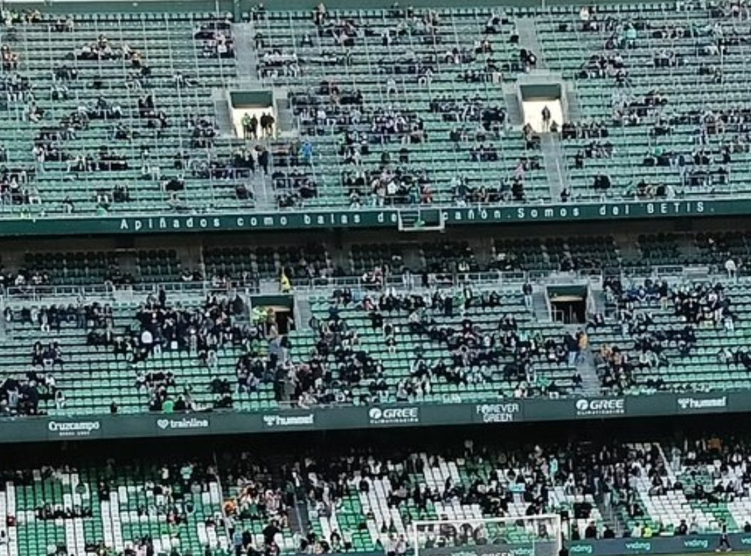 PlantaNoble_'s tweet photo. Nueva espantá?
#Manquegane @OutSevillista https://t.co/NzbeAXLbPp