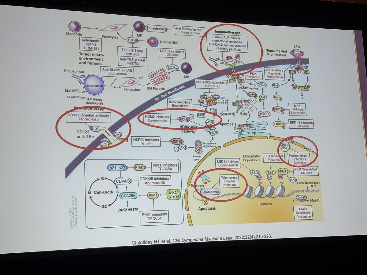Yazan Madanat, MD tweet media
