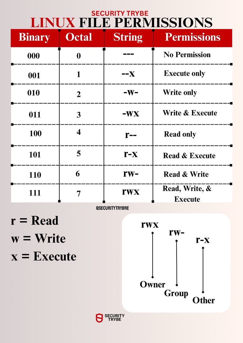 Security Trybe tweet media