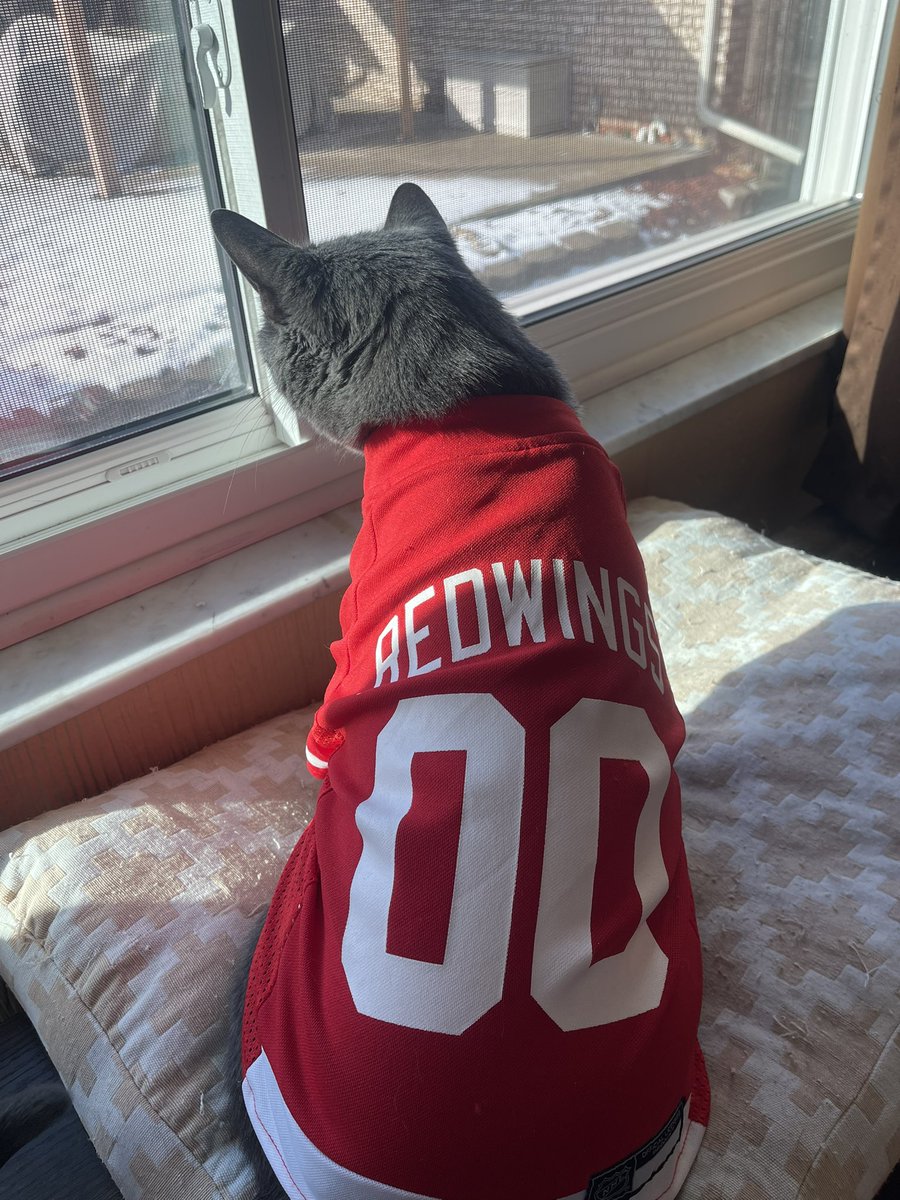 who_really_tho's tweet photo. #LGRW 
@DetroitRedWings 
🐙🔥🐙🔥🐙🔥🐙 https://t.co/6bKKtZ5u7w