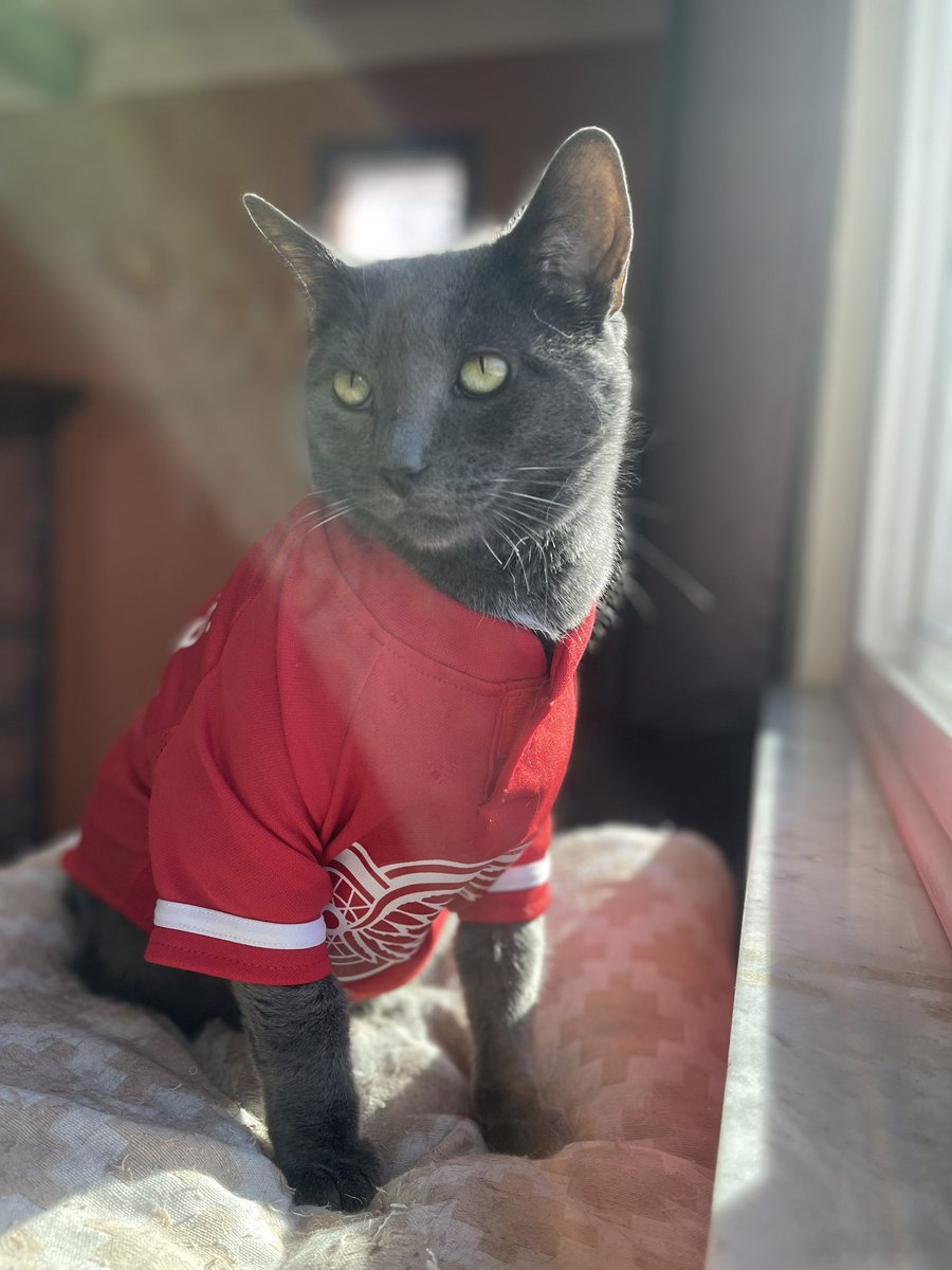 who_really_tho's tweet photo. #LGRW 
@DetroitRedWings 
🐙🔥🐙🔥🐙🔥🐙 https://t.co/6bKKtZ5u7w