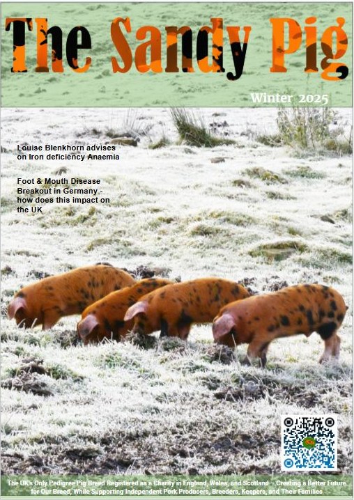 #OSBPG quarterly magazine is out tomorrow.  To ensure your copy, subscribe via our website osbpg.org
This issue covers Foot and Mouth Disease (FMD), 2024 farrowing stats, #OSBPork growth and our Pig Vet discusses Iron Deficiency Anemia in piglets.
#exploreOSBPigs