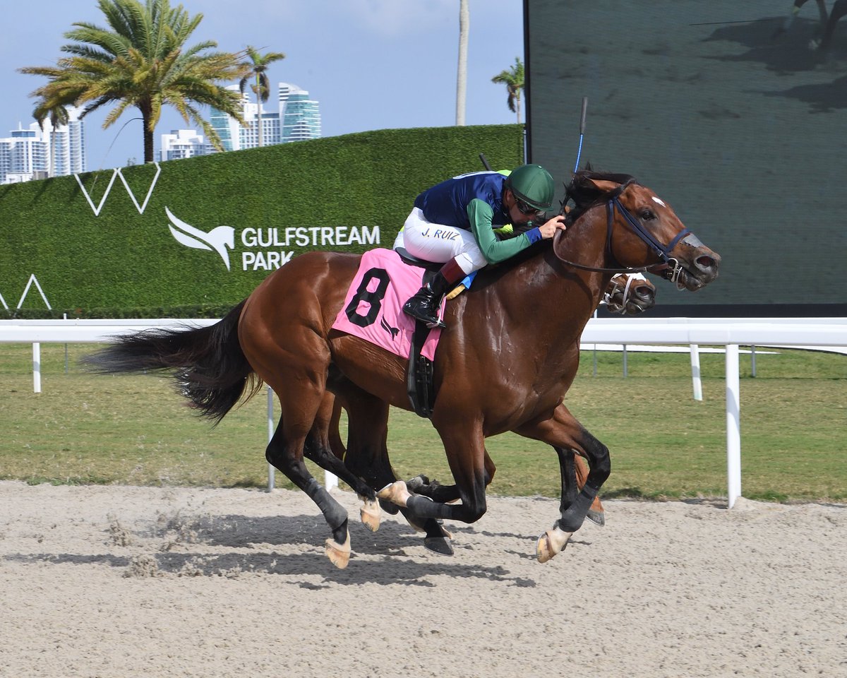GulfstreamPark's tweet photo. Walt Whitman (IRE) runs down Ours for Sure to upset race 4, @jorgeruizjockey in the saddle for trainer Dante Zanelli Jr. #GulfstreamPark #ChampionshipMeet https://t.co/ZXz2AKXfb0
