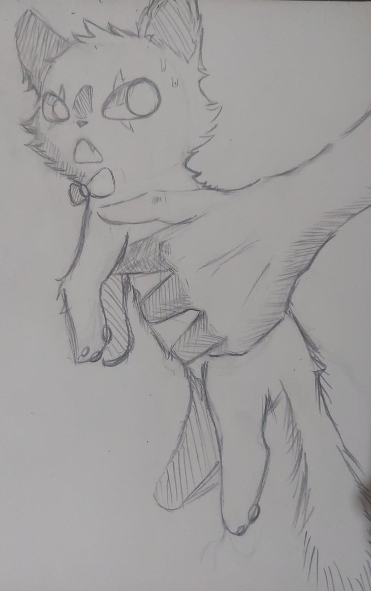357Anima's tweet photo. @GhoulStar69 Son 3, un gato, un chico de lava y una tipa normal https://t.co/Ec9VcHg1Js