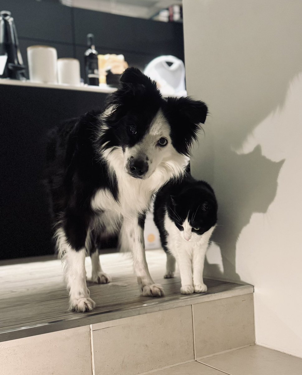 Frank™ KEIENBURG 🏳️🌈 tweet media