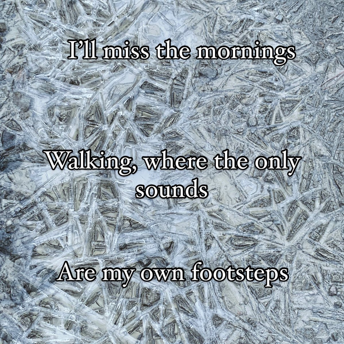 NotNothingWrite's tweet photo. #haiku #HaikuSaturday #poem #poetry #notnothing #werifesteria https://t.co/VC8N4s84xh
