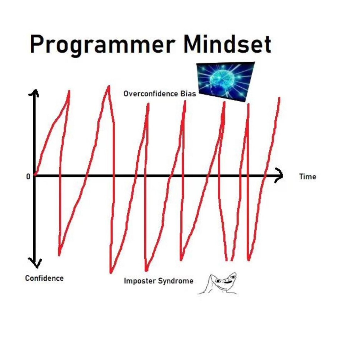 Goosewin's tweet photo. programmer mindset https://t.co/b0eOIkbHGP