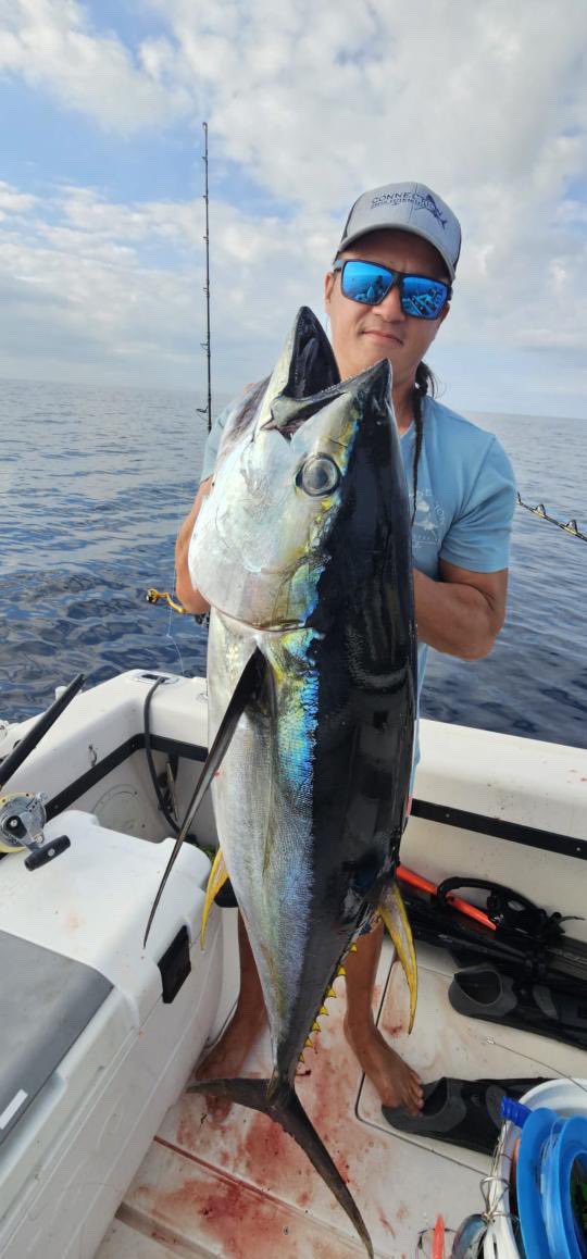 BahamasSportFishing tweet media