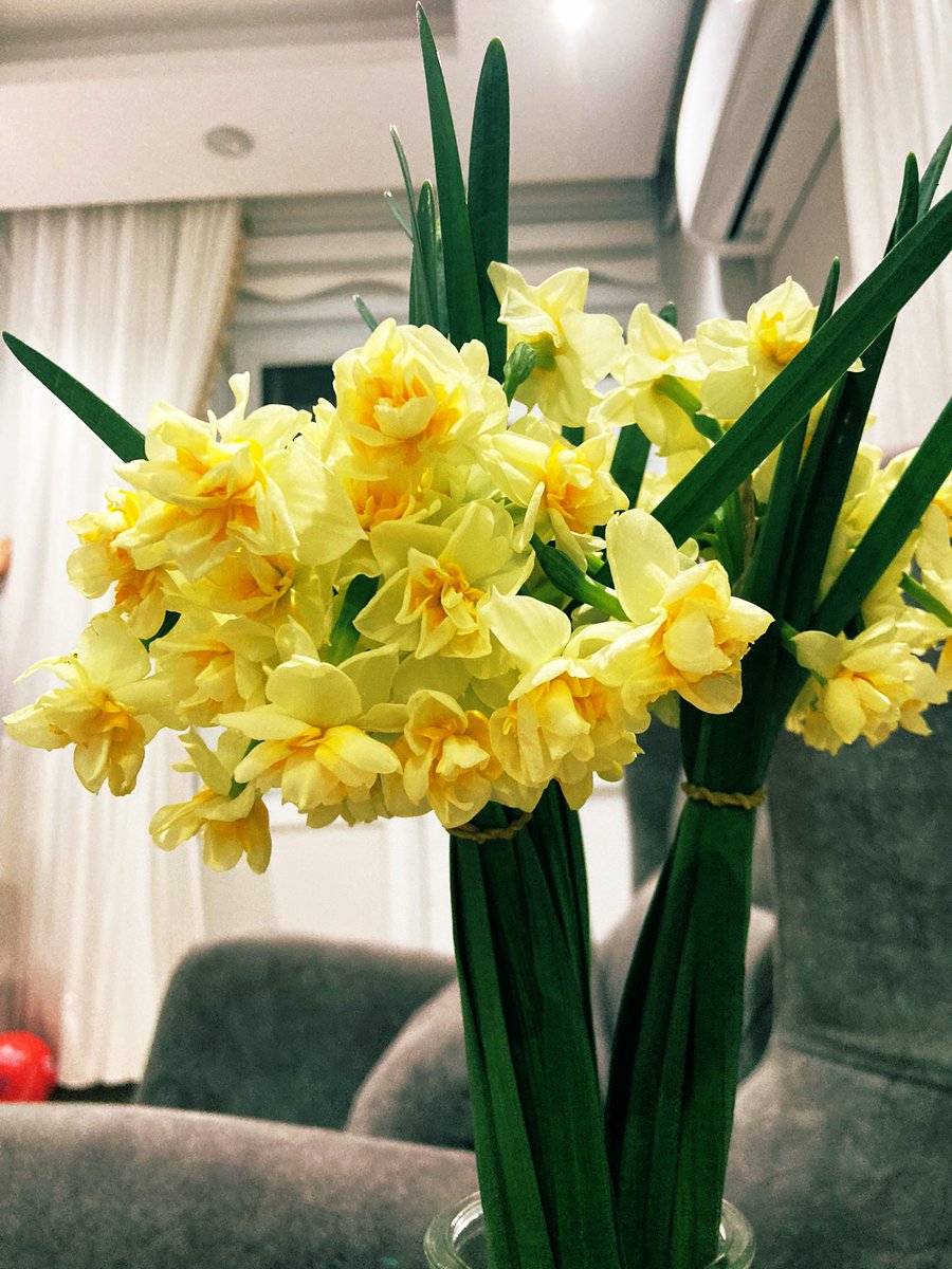 bir nergis meselesi 💫