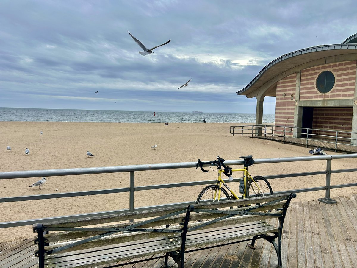 Will White tweet media